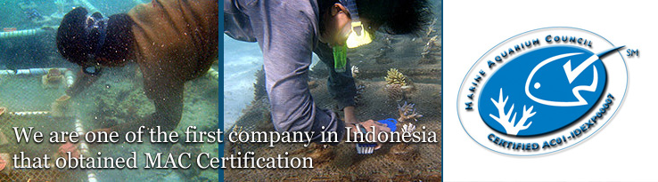 We are tone of the first company in Indonesia that obtained MAC Certification.